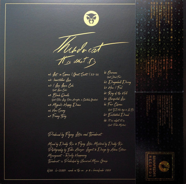 Thundercat - It Is What It Is (RED VINYL) | Mint (M) Mint (M)-