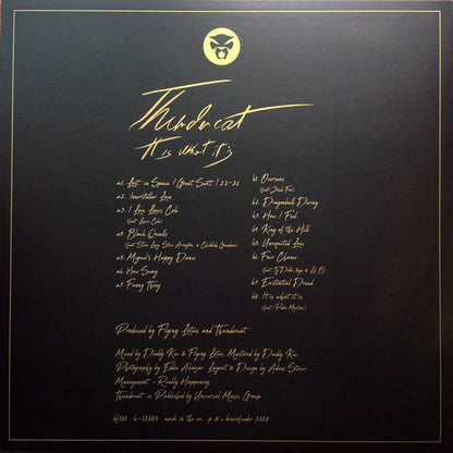 Thundercat - It Is What It Is (RED VINYL) | Mint (M) Mint (M)-