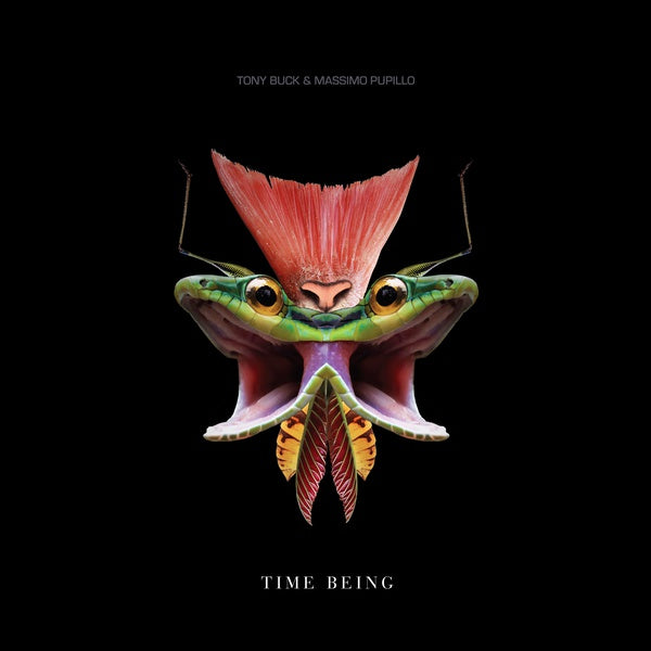 TONY BUCK & MASSIMO PUPILLO - Time Being |-