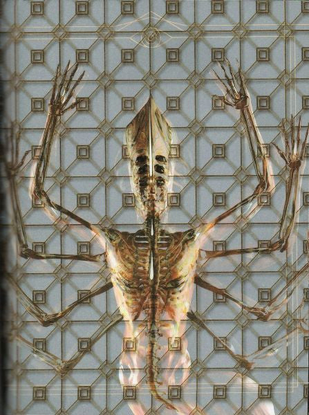 Tool (2) - Fear Inoculum (Expanded Book Edition CD RCA/Tool Dissectional 19075-97582-2) | NEW-