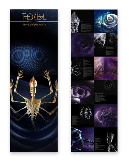 Tool - Fear Inoculum (180 GRAM VINYL) | Mint (M) Mint (M)-