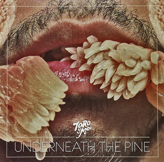 Toro Y Moi - Underneath The Pine | Mint (M) Mint (M)-