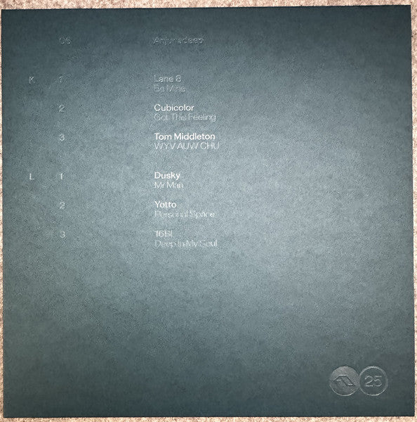 Various - Anjuna25 Anniversary Box Set (VINYL BOX) | Mint (M) Mint (M)-