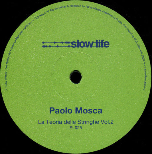 Paolo Mosca La Teoria Delle Stringhe Vol. 2 12" Mint (M) Generic-