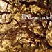 Travis - The Invisible Band (20th Anniversary) [LP] | Mint (M) Mint (M)-