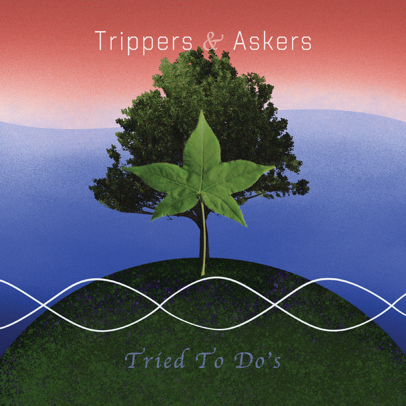 Trippers & Askers - Tried To Do's (VINYL) | Mint (M) Mint (M)-