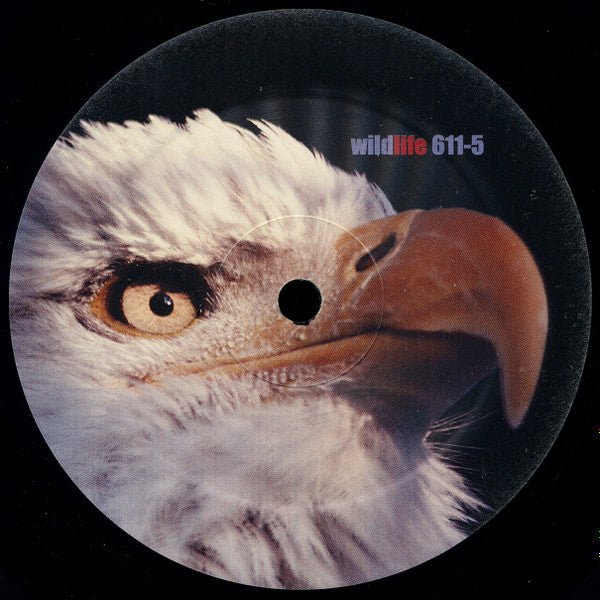 DJ Debra - Radical | Excellent (EX) Very Good (VG)--