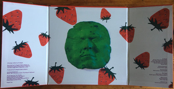 Ty Segall - First Taste | Mint (M) Mint (M)-