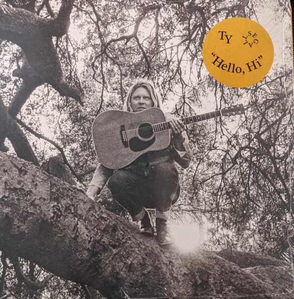 Ty Segall - "Hello, Hi" (VINYL) | Mint (M) Mint (M)-