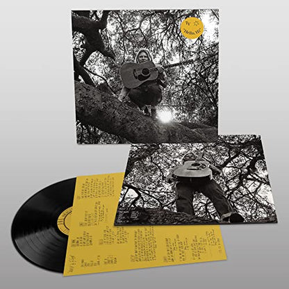 Ty Segall - "Hello, Hi" (VINYL) | Mint (M) Mint (M)-