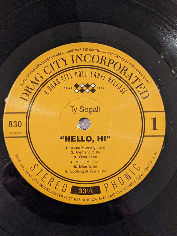Ty Segall - "Hello, Hi" (VINYL) | Mint (M) Mint (M)-