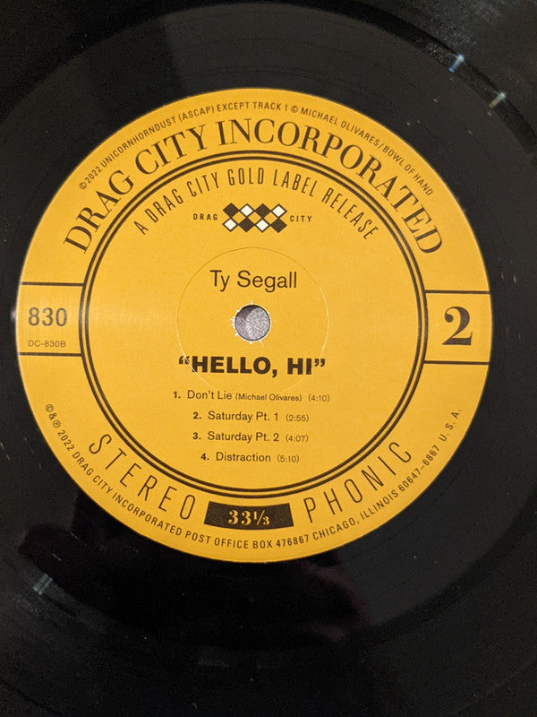 Ty Segall - "Hello, Hi" (VINYL) | Mint (M) Mint (M)-