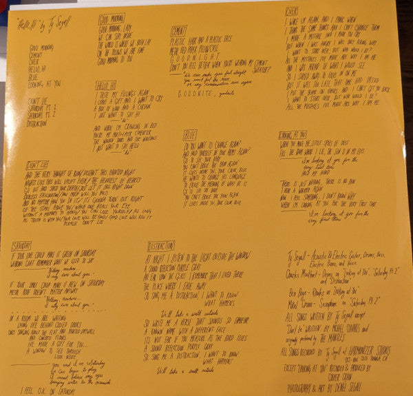 Ty Segall - "Hello, Hi" (VINYL) | Mint (M) Mint (M)-