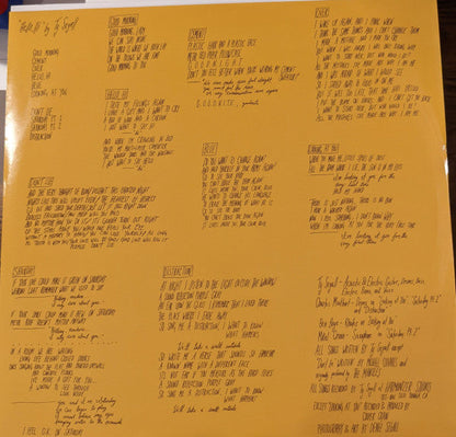 Ty Segall - "Hello, Hi" (VINYL) | Mint (M) Mint (M)-