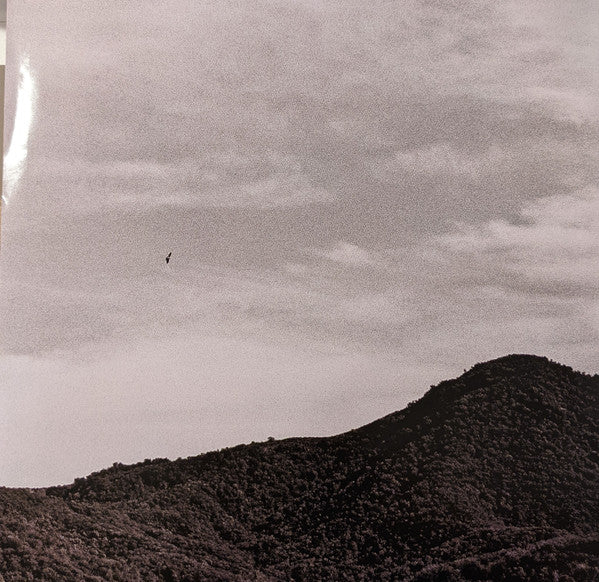 Ty Segall - "Hello, Hi" (VINYL) | Mint (M) Mint (M)-