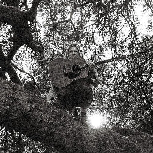 Ty Segall - "Hello, Hi" (VINYL) | Mint (M) Mint (M)-