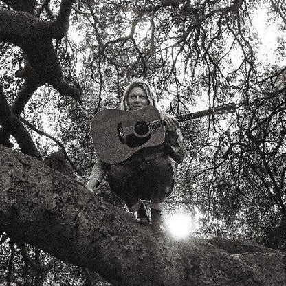 Ty Segall - "Hello, Hi" (VINYL) | Mint (M) Mint (M)-