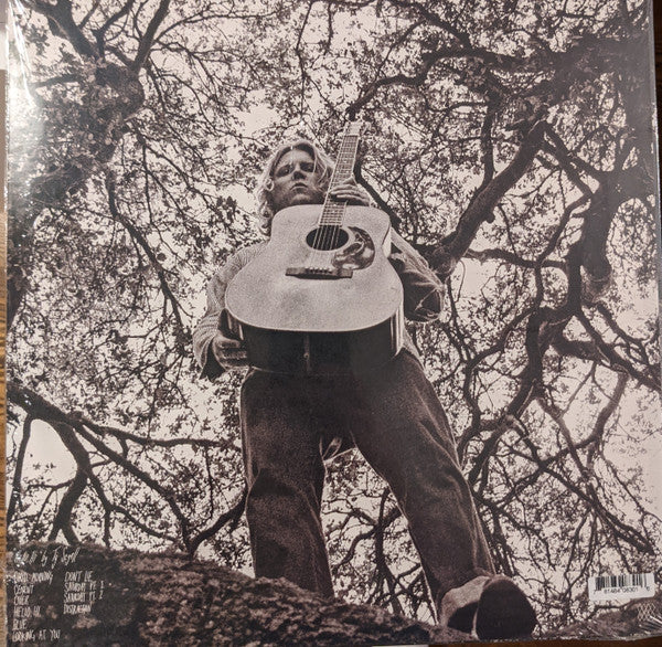 Ty Segall - "Hello, Hi" (VINYL) | Mint (M) Mint (M)-