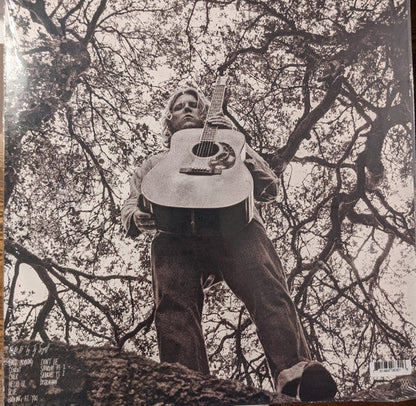 Ty Segall - "Hello, Hi" (VINYL) | Mint (M) Mint (M)-