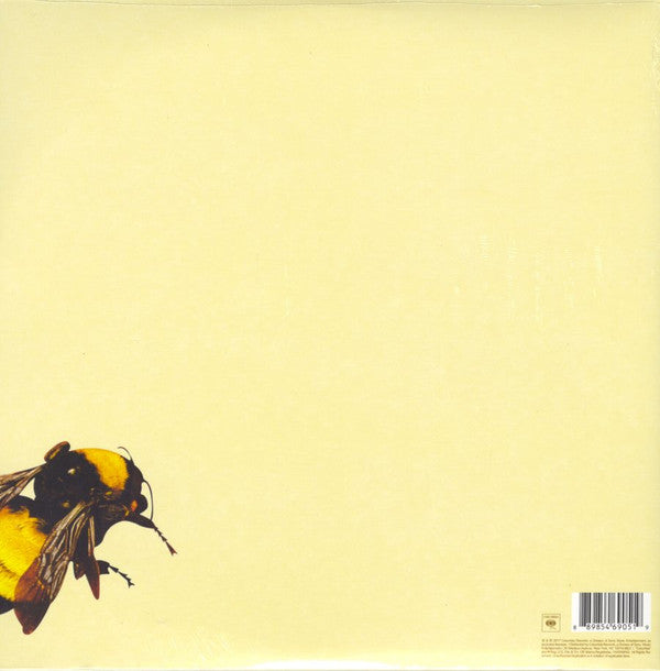 Tyler, The Creator - Scum Fuck Flower Boy | Mint (M) Mint (M)-