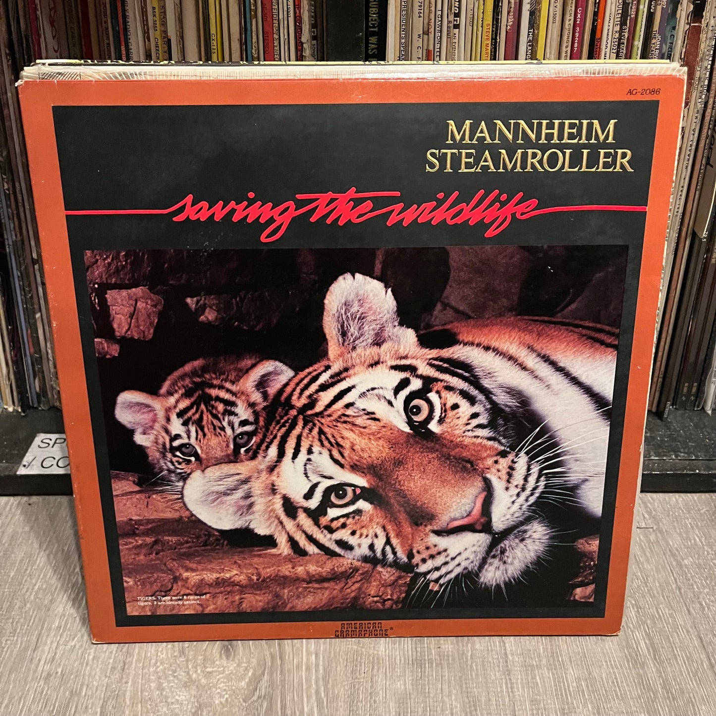 VARIOUS - 10 CLASSICAL RECORDS / VINYL (EX COND - LIST IN DESCRIPTION) | Excellent (EX) Excellent (EX)--