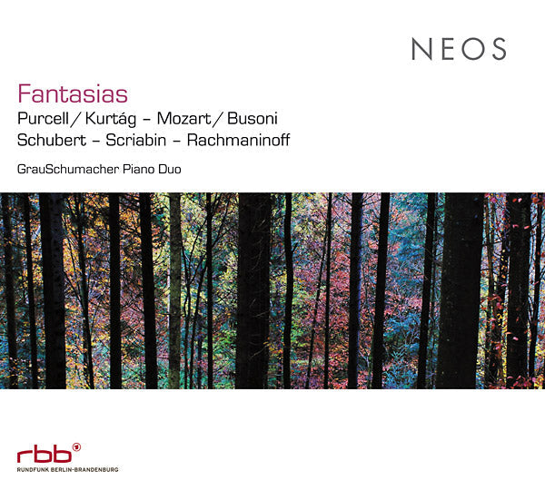 Va - Fantasias |-