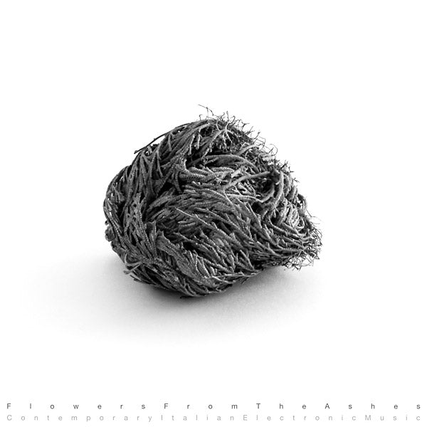 Va - Flowers From The Ashes: Contemporary Italian Electronic Music [Import] (VINYL) | Mint (M) Mint (M)--