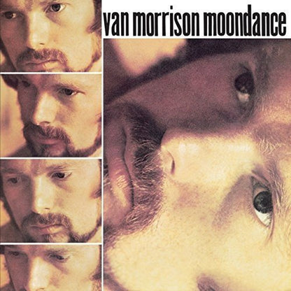 Moondance (VINYL) | Mint (M) Mint (M)-