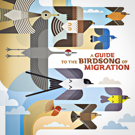 Various Artists - A Guide To The Birdsong Of Migration (VINYL) | Mint (M) Mint (M)--