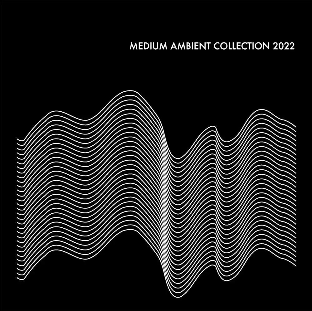 Various Artists - Medium Ambient Collection 2022 Black (VINYL 2xLP ASTROLLAGE 2024) | Mint (M) Mint (M)-