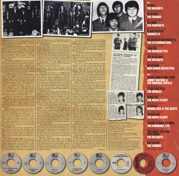 We're Gonna Change The World! (The 60's Chicago Garage Sound Of Quill Productions) | Mint (M) Mint (M)-