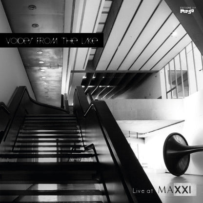 Voices From The Lake - Live At Maxxi | Mint (M) Mint (M)-