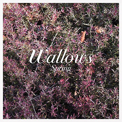 Wallows - Spring (COLOR VINYL) |-