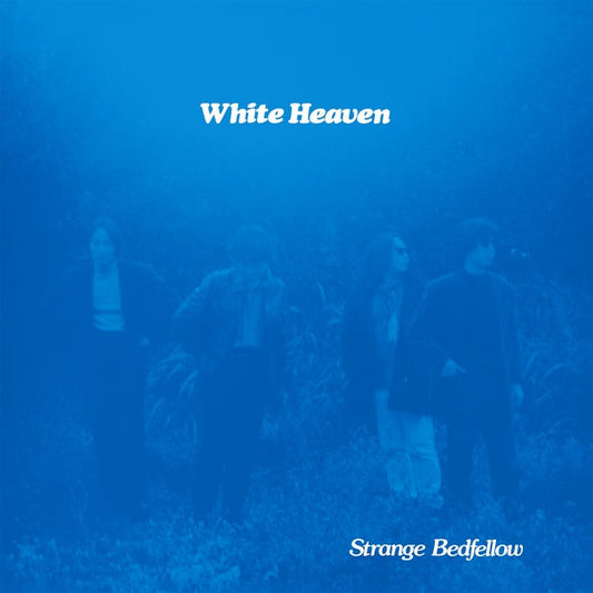 WHITE HEAVEN - Strange Bedfellow (VINYL) | Mint (M) Mint (M)-