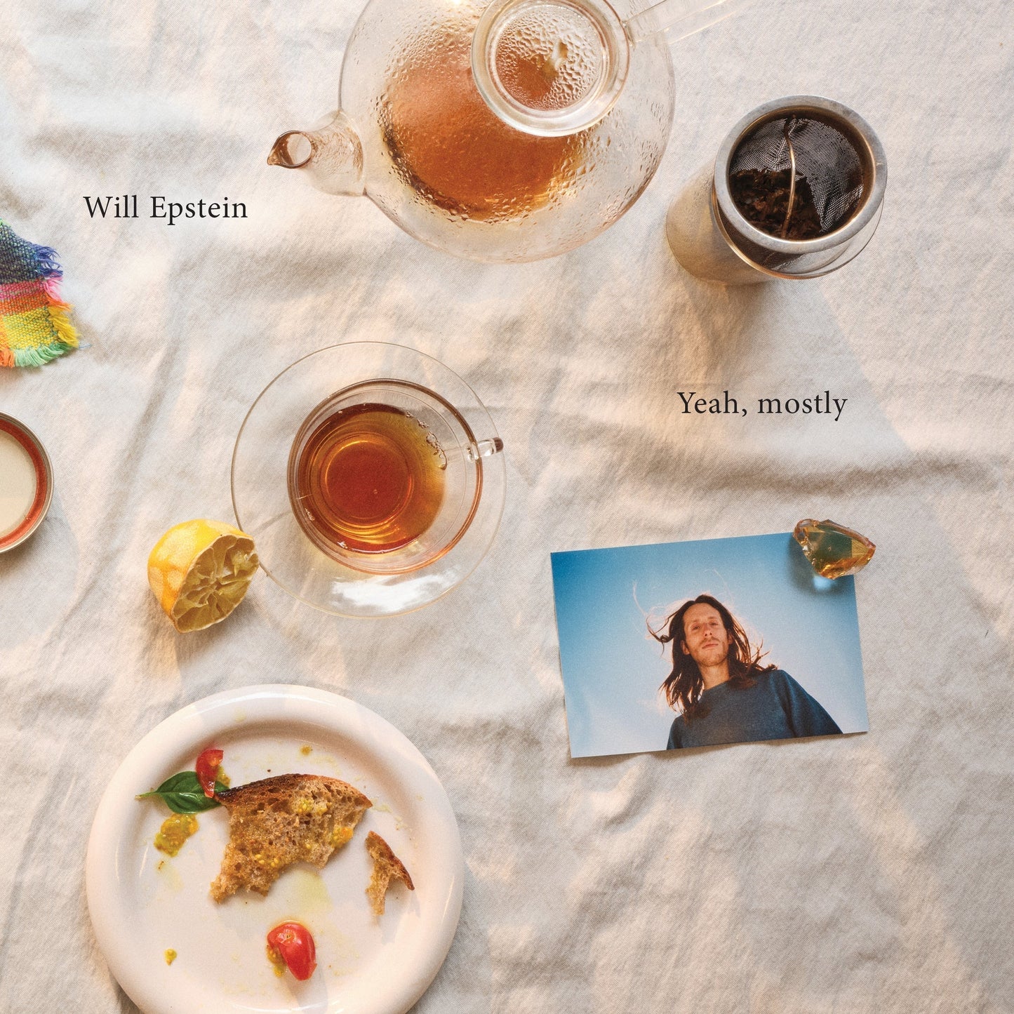 Will Epstein - (PRE-ORDER 1/9/26) Yeah Mostly (VINYL) |-
