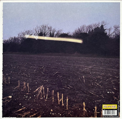 Will Varley - The Hole Around My Head | Mint (M) Mint (M)-