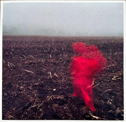 Will Varley - The Hole Around My Head | Mint (M) Mint (M)-