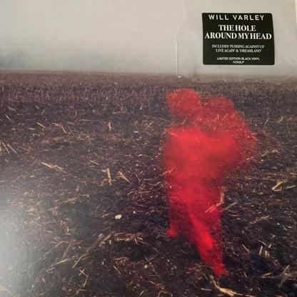 Will Varley - The Hole Around My Head | Mint (M) Mint (M)-