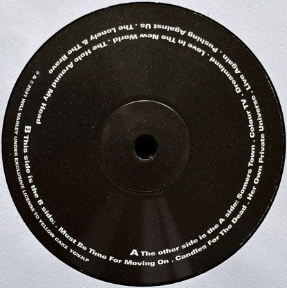 Will Varley - The Hole Around My Head | Mint (M) Mint (M)-
