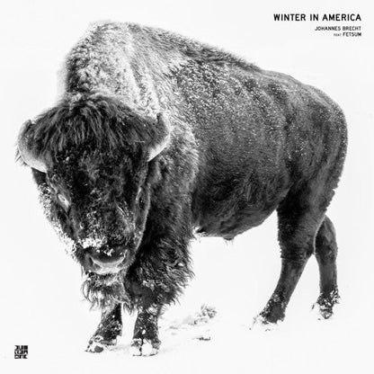 Johannes Brecht - Winter In America | Mint (M) Mint (M)-