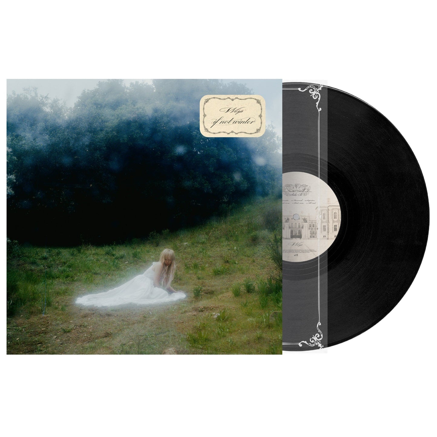 Wisp - If Not Winter (VINYL) | Mint (M) Mint (M)-