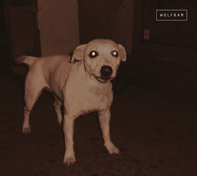 WOLFRAM TRIO - Wolfram |-
