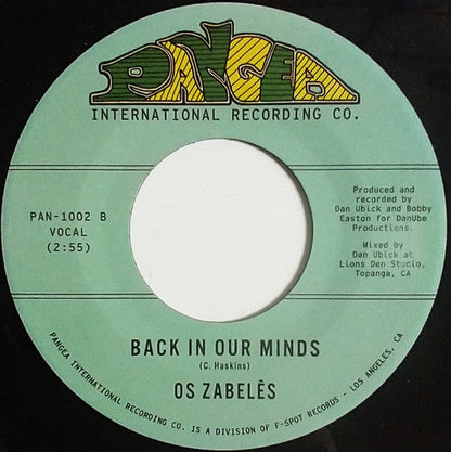 If You Don't Like The Effects, Don't Produce The Cause / Back In Our Minds | Mint (M) Generic-