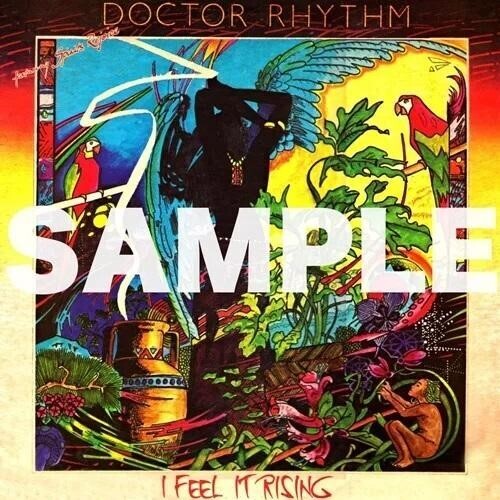 Doctor Rhythm - I Feel It Rising (VINYL) |--
