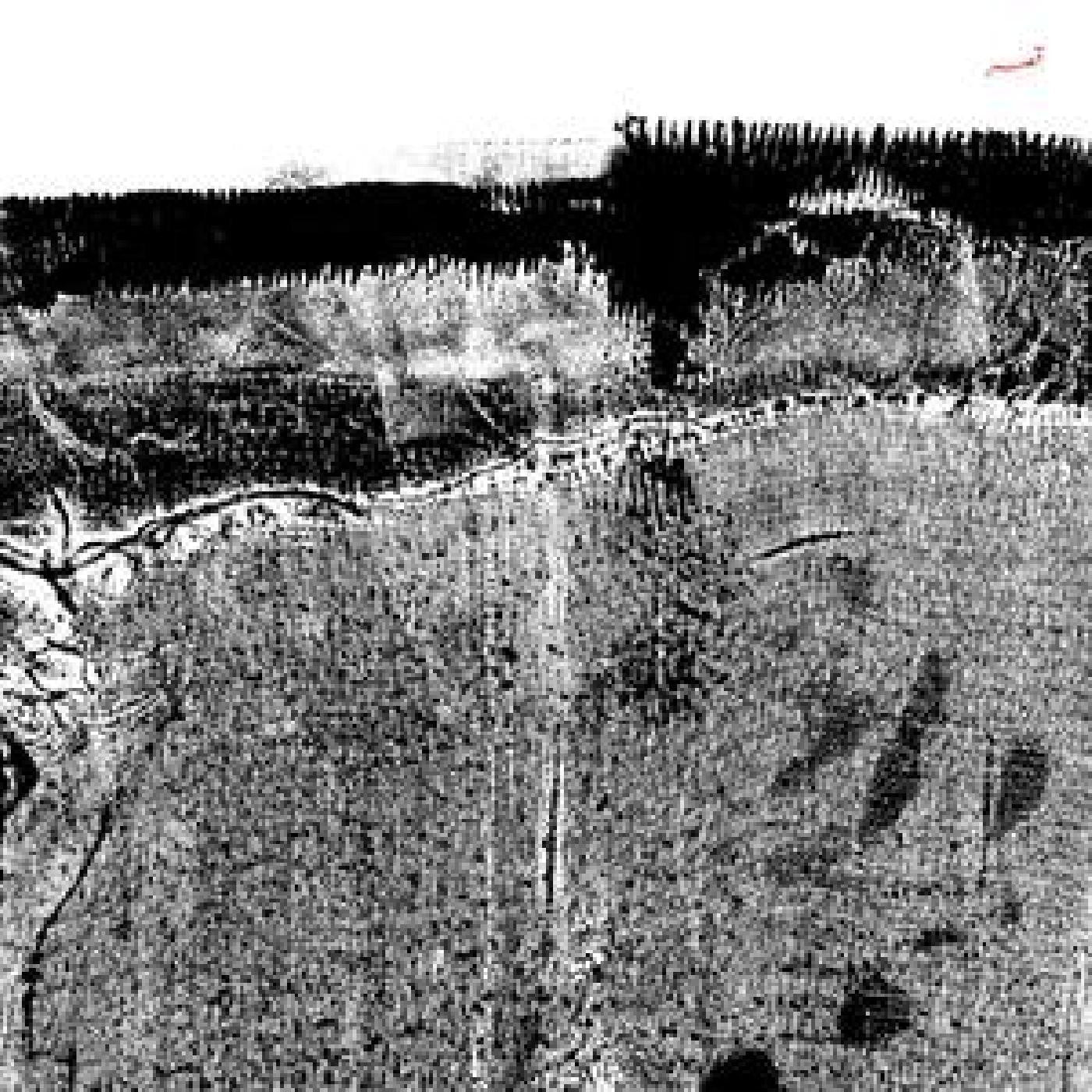 Sheherazaad - Qasr |--