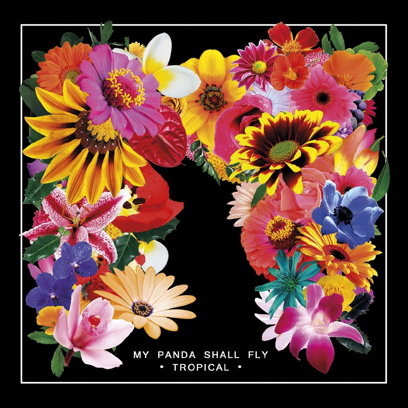 My Panda Shall Fly - Tropical |--