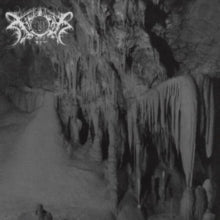 Xasthur - Xasthur (2LP) | Mint (M) Mint (M)-