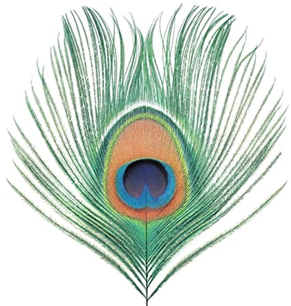 Xtc - Apple Venus Vol. 1 (200g Vinyl Import) | Mint (M) Mint (M)-