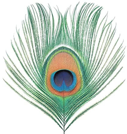 Xtc - Apple Venus Vol. 1 (200g Vinyl Import) | Mint (M) Mint (M)-