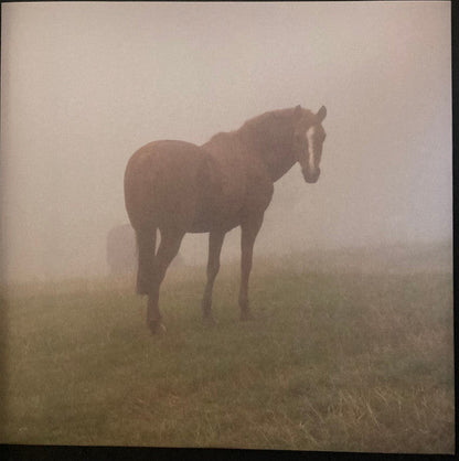 Magic Pony Ride | Mint (M) Mint (M)-